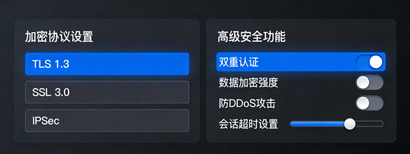 显示加密协议设置和高级安全功能选项的软件设置面板特写